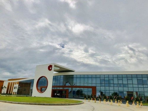 布局海外市场 洽洽开启坚果品牌全球化新征程