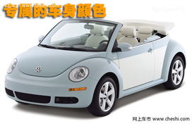 大众 甲壳虫beetle 文章配图图片 124407