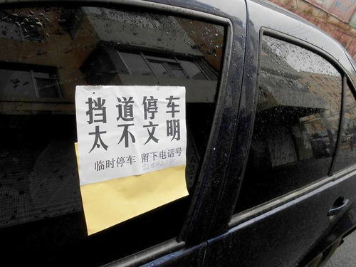新车刚落地,哥们来参观,建议我装上这4样车品,比记录仪重要