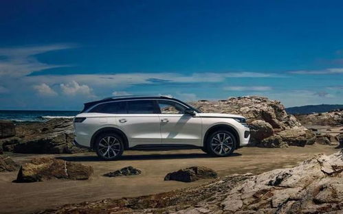 揽巡,车品更富有层次感